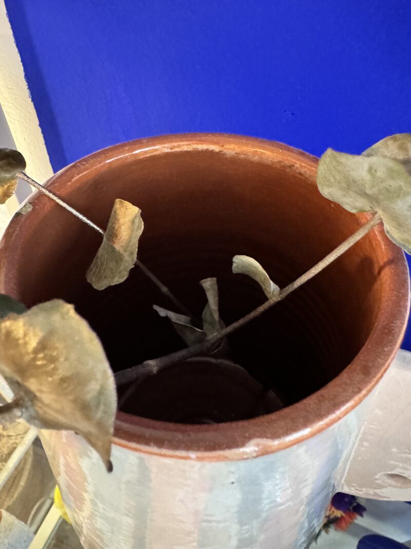 VASE FARACHA BLEU CIEL – Image 5