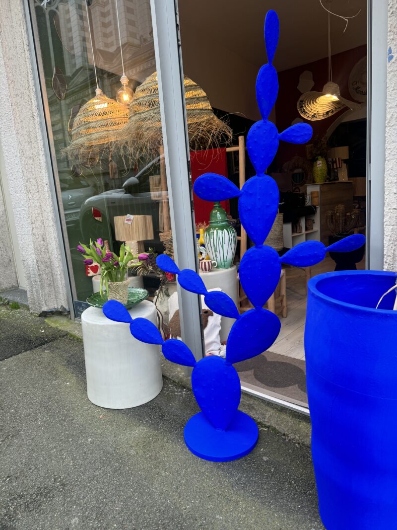 CACTUS BLEU MAJORELLE – Image 3