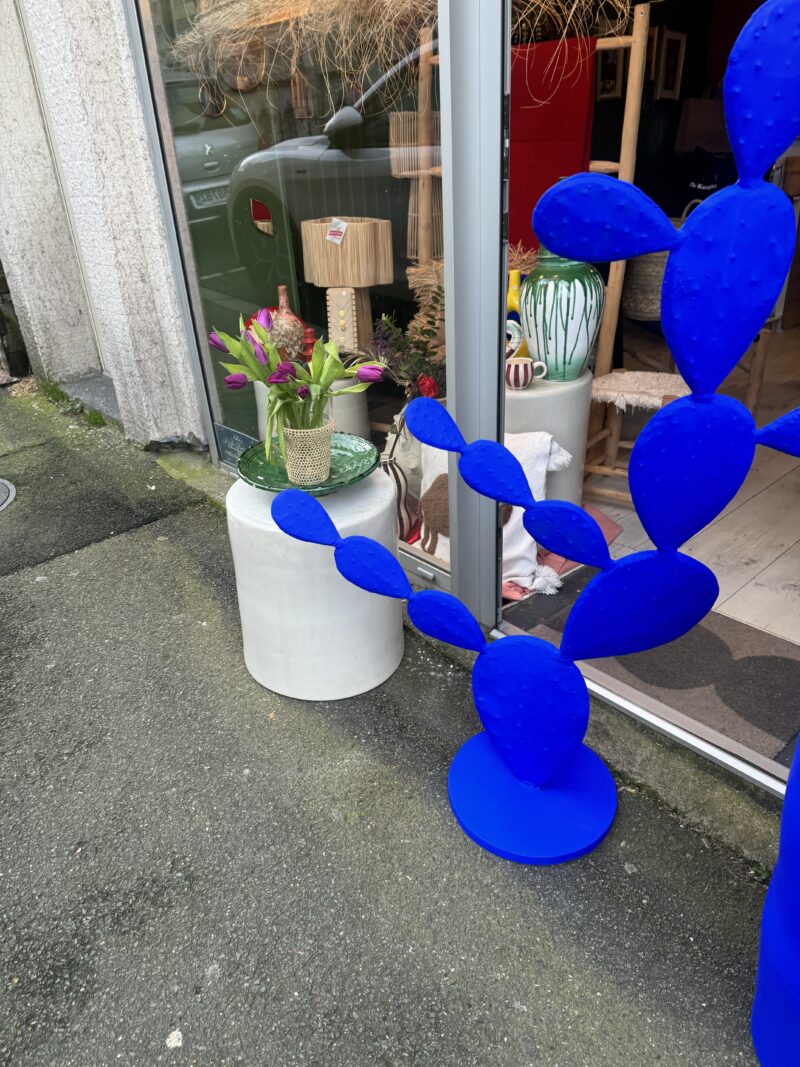 CACTUS BLEU MAJORELLE