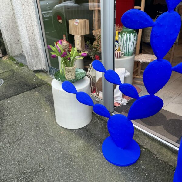 CACTUS BLEU MAJORELLE